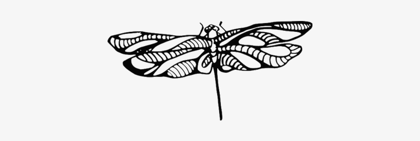 Dragonfly Tattoo - Tattoo, transparent png download