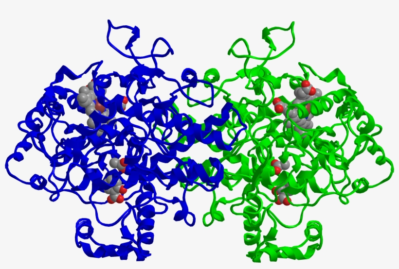 Cox-2 Inhibited By Aspirin “ - Cox 2 Crystal Structure, transparent png download