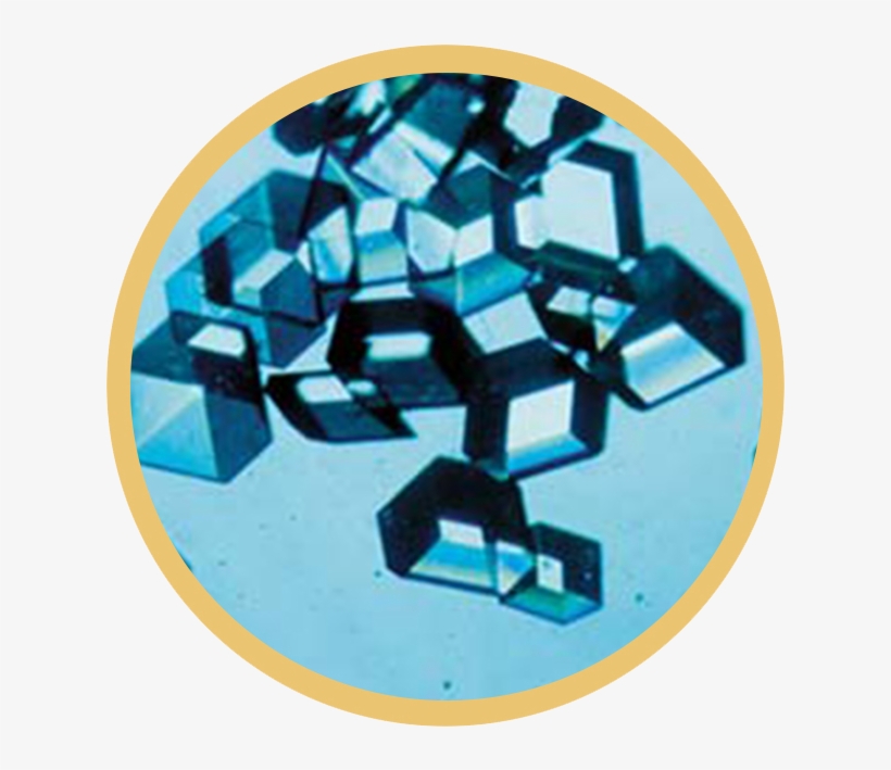 Frederick Grant Banting And John James Rickard Macleod - Crystalline Or Amorphous Insulin, transparent png download