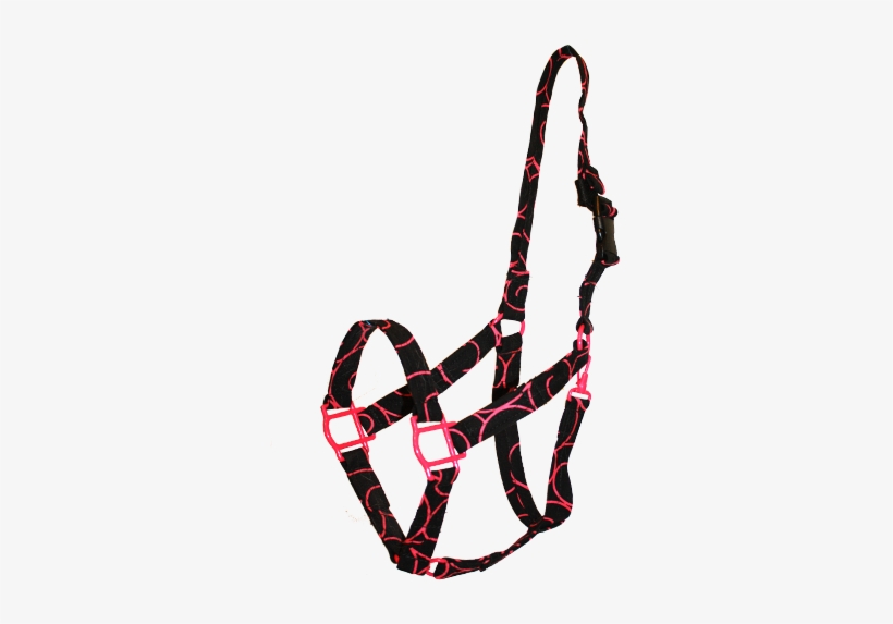 Hot Pink Swirls Halter - Horse Halter Transparent, transparent png download