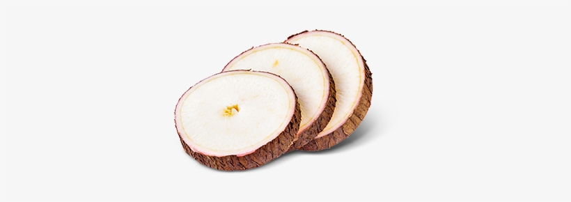 Yucca, transparent png download