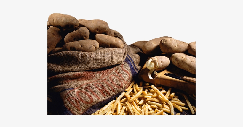 Our Headquarters At Rick Miles Produce Is Located In - French Fries, transparent png download