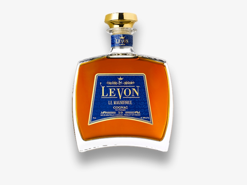 Bottle Xo - Bottles Xo International Limited, transparent png download