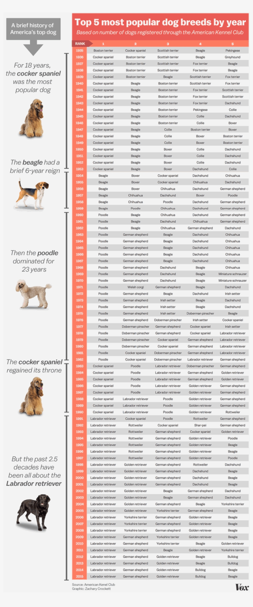 111final - Dog, transparent png download