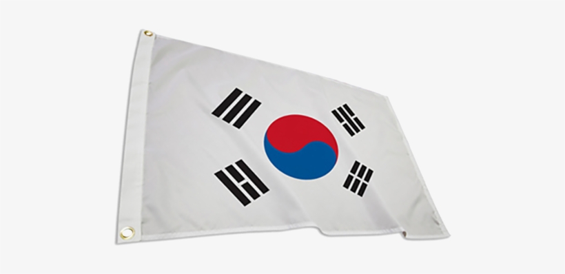 South Korea International Flag - South Korea Flag, transparent png download