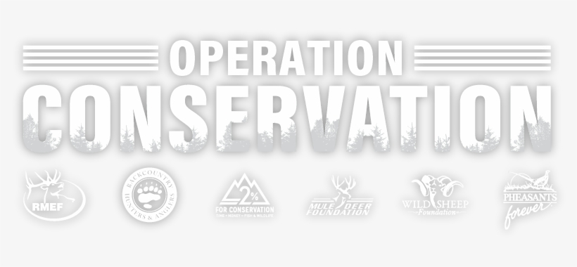 Learn More - Articles Of Confederation Meme, transparent png download