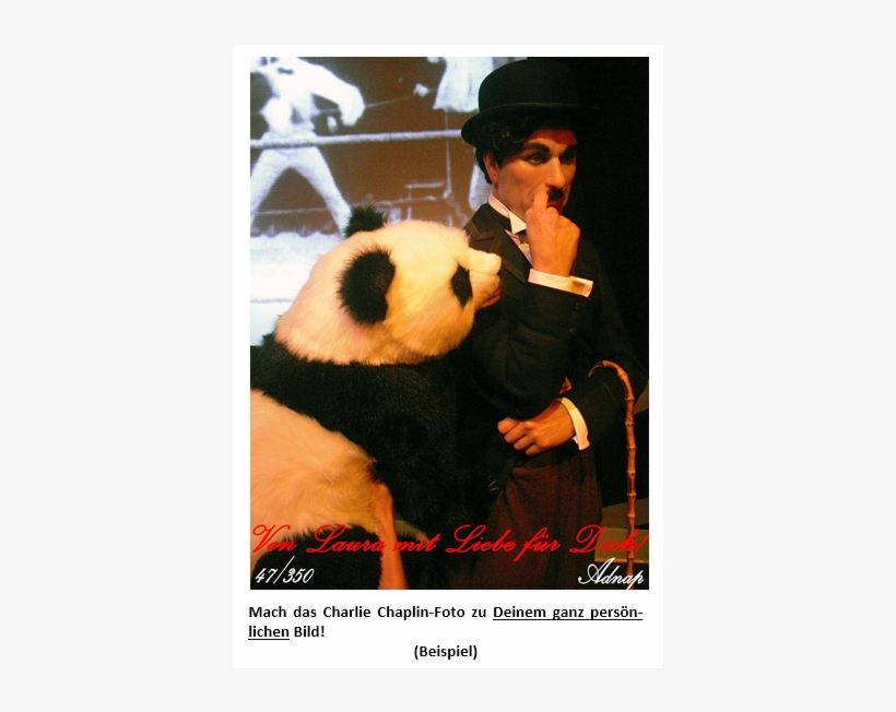 Promi-souvenirs - Panda, transparent png download
