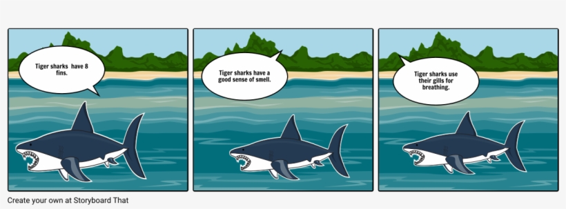 Tiger Shark - Yann Martel, transparent png download