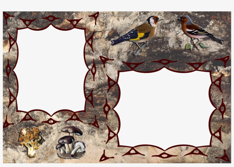 Grunge Mushroom Fram - Frames Horse Png, transparent png download