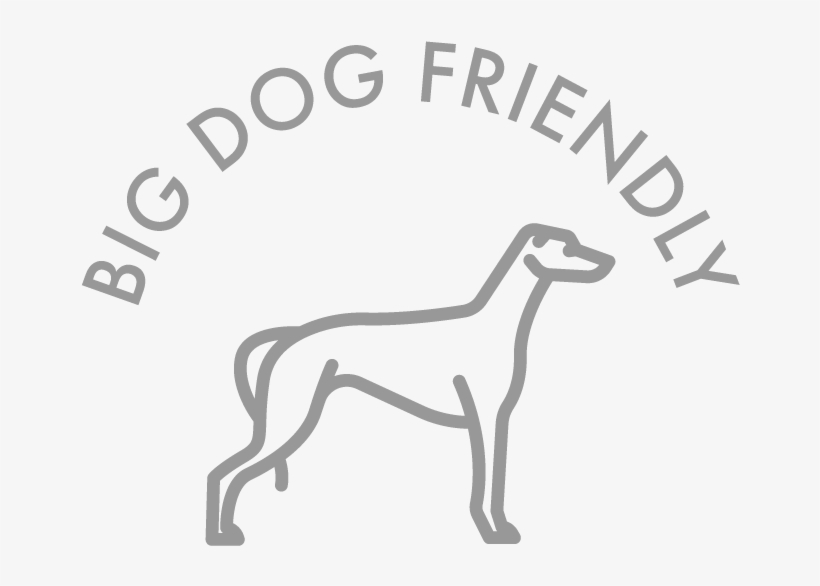 Dog, transparent png download