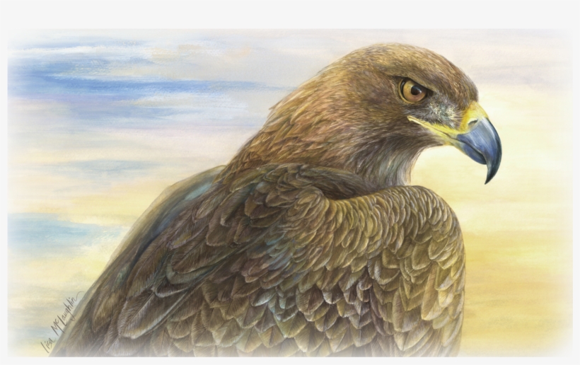 Lisa Mclaughlin's Detailed Wildlife Watercolors - Desert Golden Eagle Journal, transparent png download