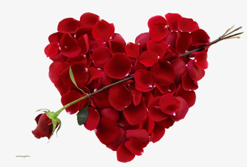 Valentine Day, transparent png download