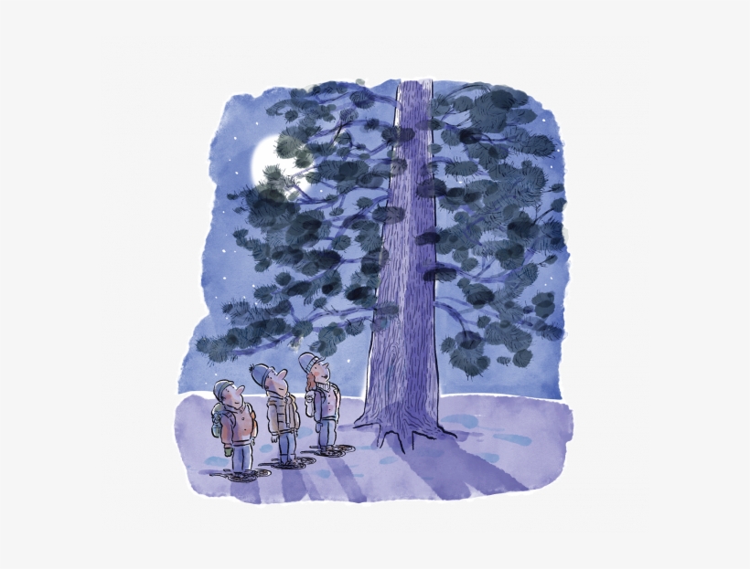 Snowshoeing Students At The Base Of A Tree At Night - Brigham Young University, transparent png download