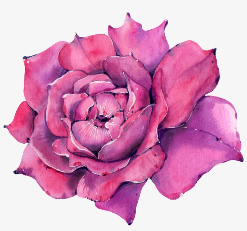 This Graphics Is A Rose Png Transparent About Watercolor,purple - Watercolor Painting, transparent png download