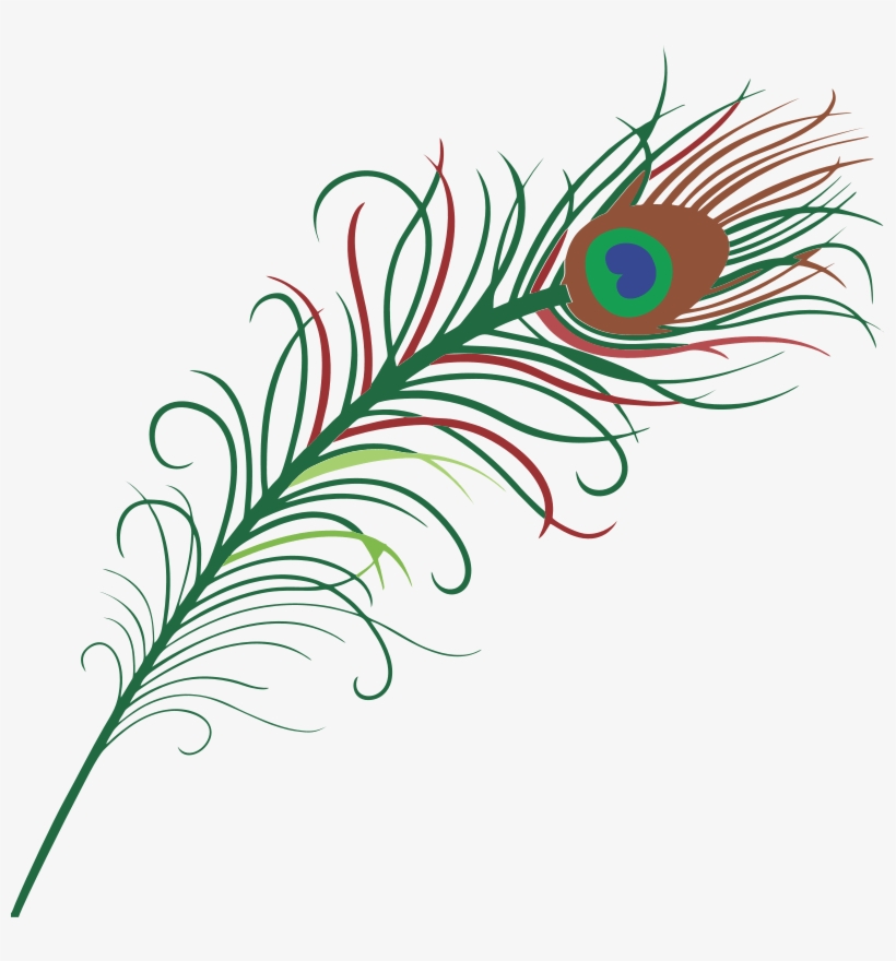 Peacock Design Vector Png, transparent png download