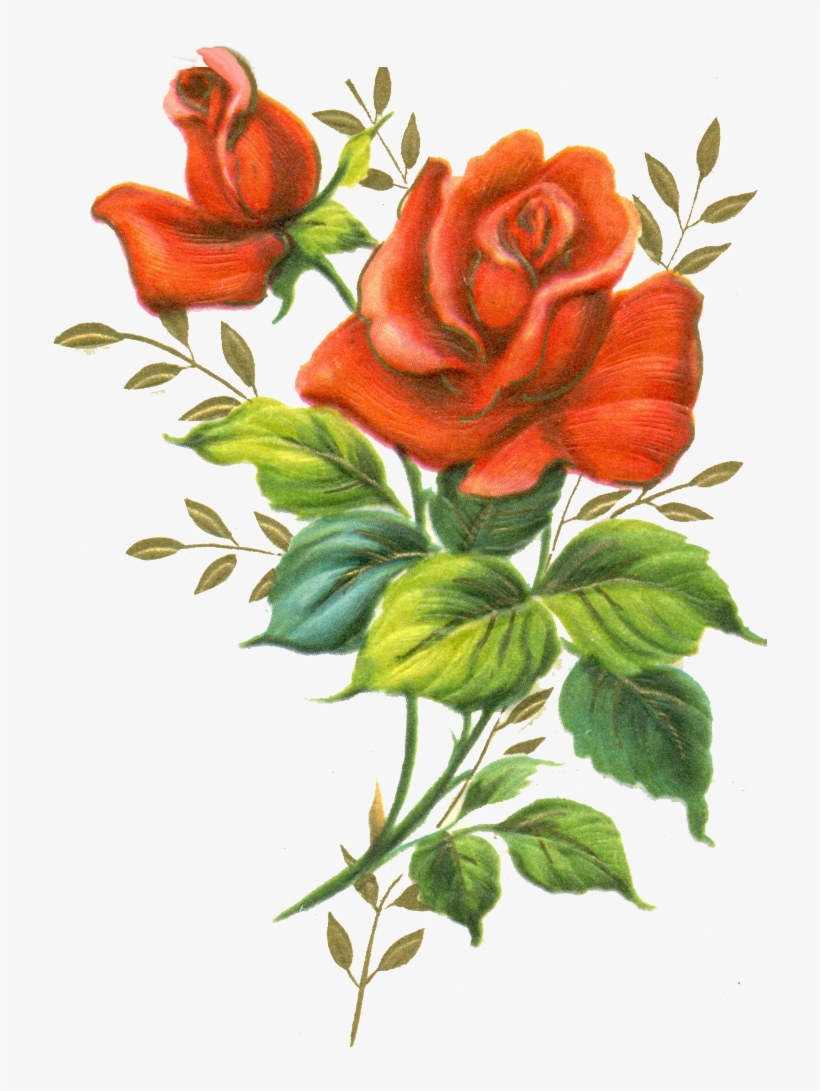 More Artists Like Red Rose Png By Melissa-tm - Rose Png, transparent png download