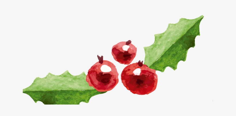 Hotel Bodega Finca De Los Arandinos Navidad En La Rioja - Transparent Christmas Watercolor Png, transparent png download
