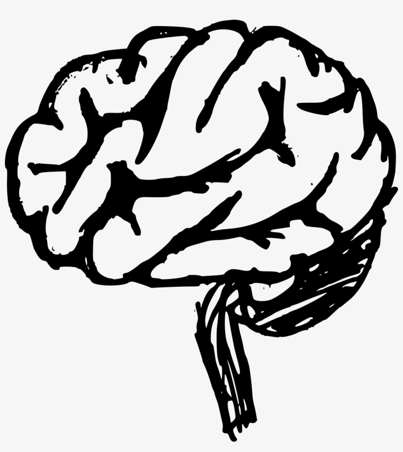 Png File Size - Brain Drawing, transparent png download