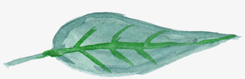 Free Download - Transparent Leaf Png, transparent png download