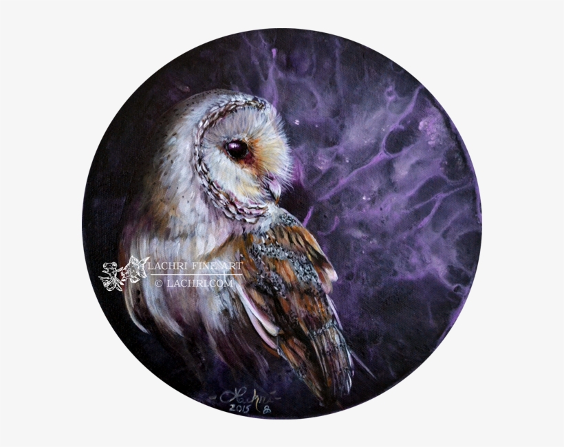 Barn Owl Round Painting - Owl Painting, transparent png download