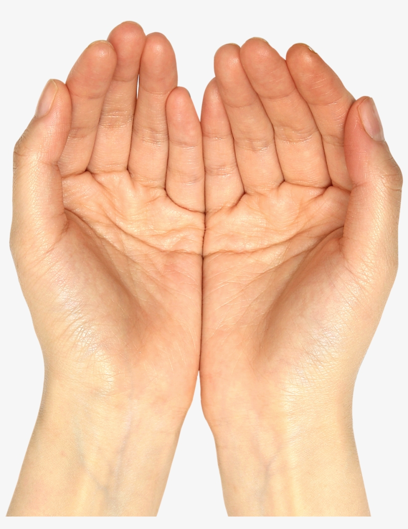 Download Amazing High-quality Latest Png Images Transparent - Hands Png, transparent png download
