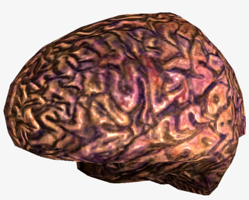Your Brain - Fallout: New Vegas, transparent png download