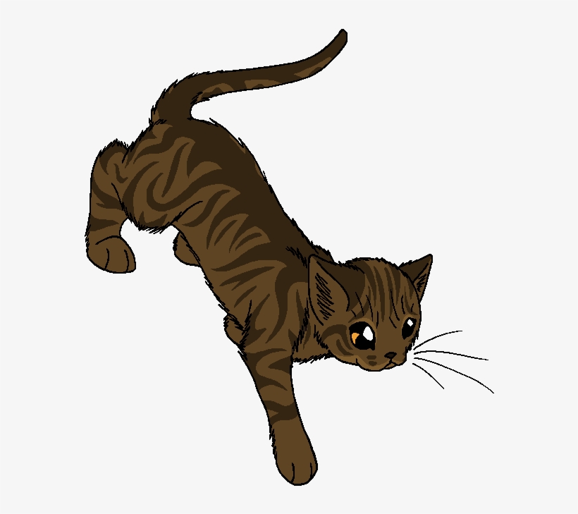 Sheer Path Beside Waterfall - Warrior Cats Sheer Path Beside Waterfall, transparent png download