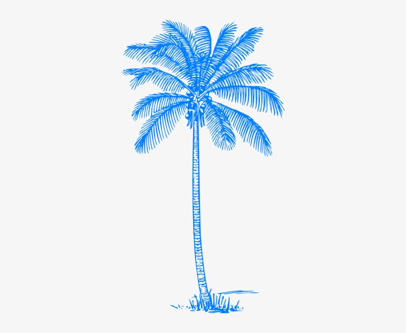 Palm Tree Svg Clip Arts 330 X 592 Px, transparent png download