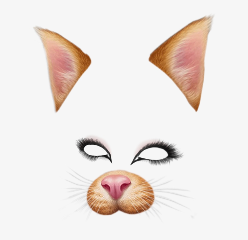 Snapchat - Filtro De Snapchat Gato, transparent png download