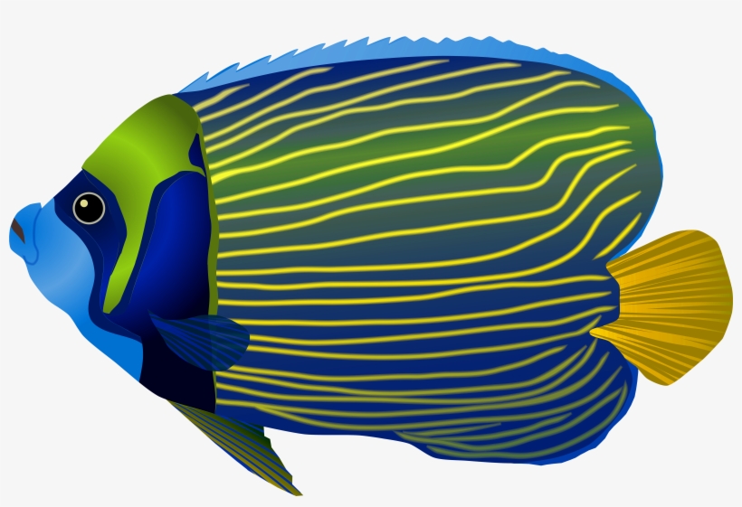 Wurfs-kissen-tropische Fische Kissen, transparent png download