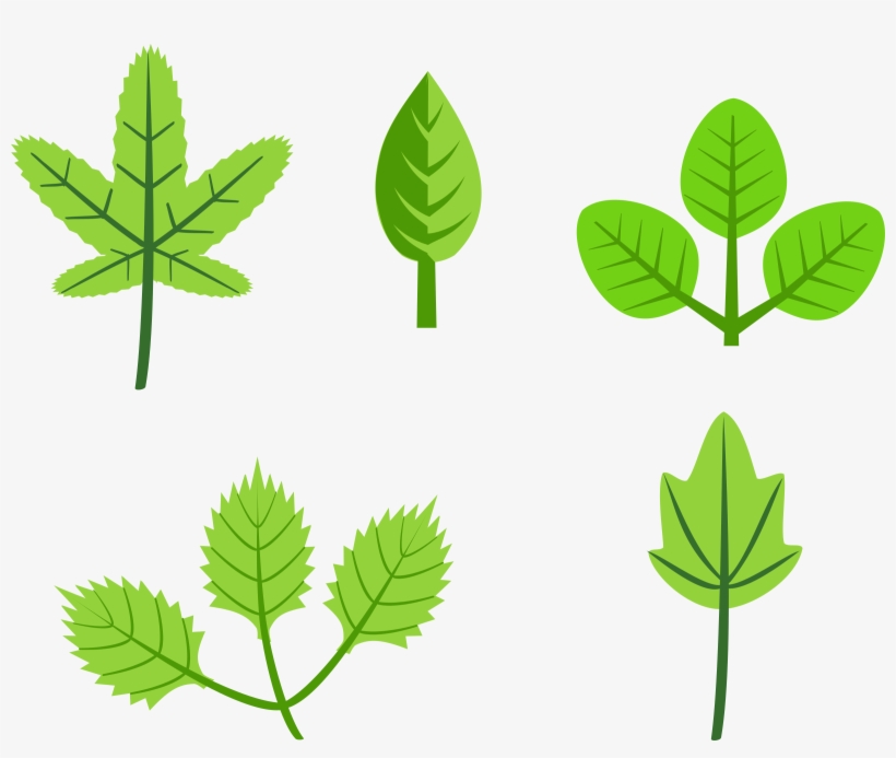 Leaves Tree Vines Branches Clip Art At Clker - Leaves Clip Art, transparent png download