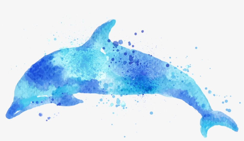 Report Abuse - Watercolor Dolphin Png, transparent png download