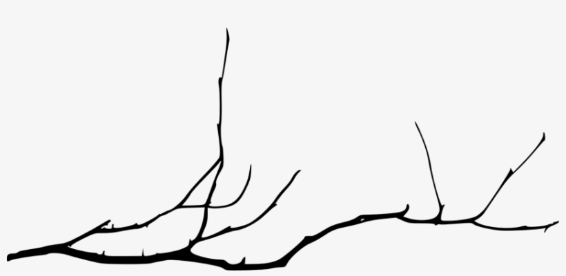 Free Png Simple Tree Branch Png Images Transparent - Bare Tree Branch Png, transparent png download