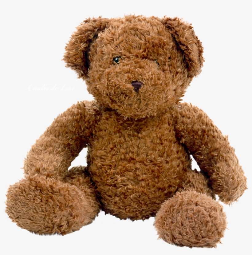 Teddy Bear Png, transparent png download