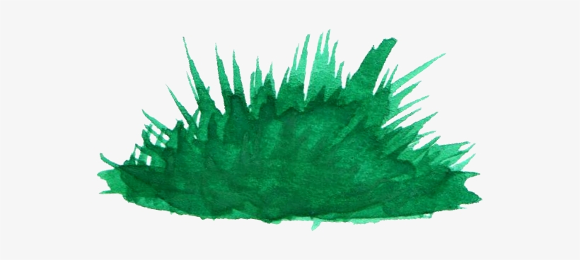 Free Download - Watercolor Bush Transparent, transparent png download