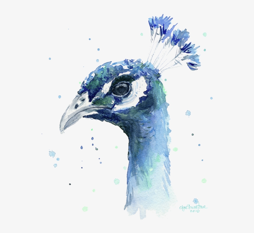 Click And Drag To Re-position The Image, If Desired - Peacock Artwork, transparent png download