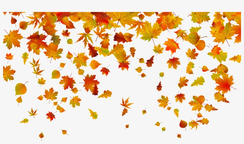 Image Transparent Download Fall Png Image Gallery Yopriceville, transparent png download