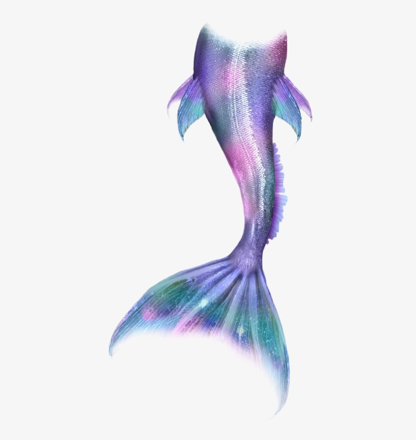Mermaid Mermaidlife Mermaidtail Mermaids Merman Tail - Mermaid Tail Fan Art, transparent png download