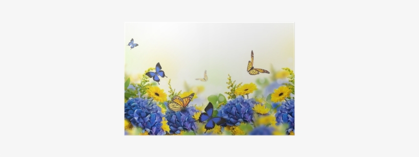 Amazing Background With Hydrangeas And Daisies - Gula Och Blå Blommor, transparent png download