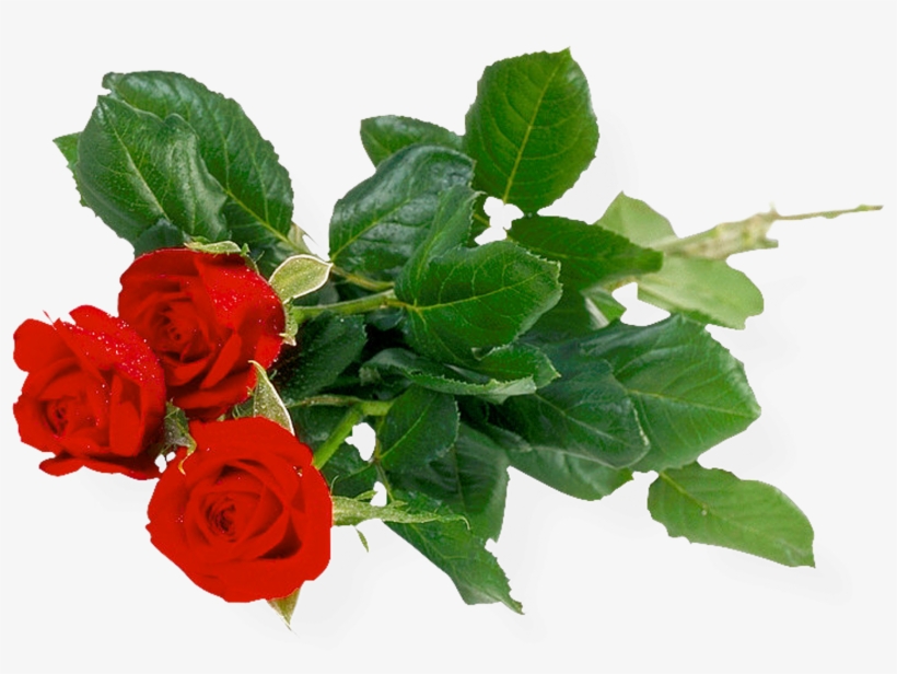 Download - Khadi Rose Honey With Rose Petal Soap (set Of 4), transparent png download