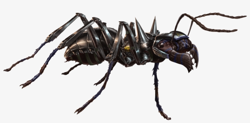Bullet Ant Fh - Bullet Ant Ant Clipart, transparent png download
