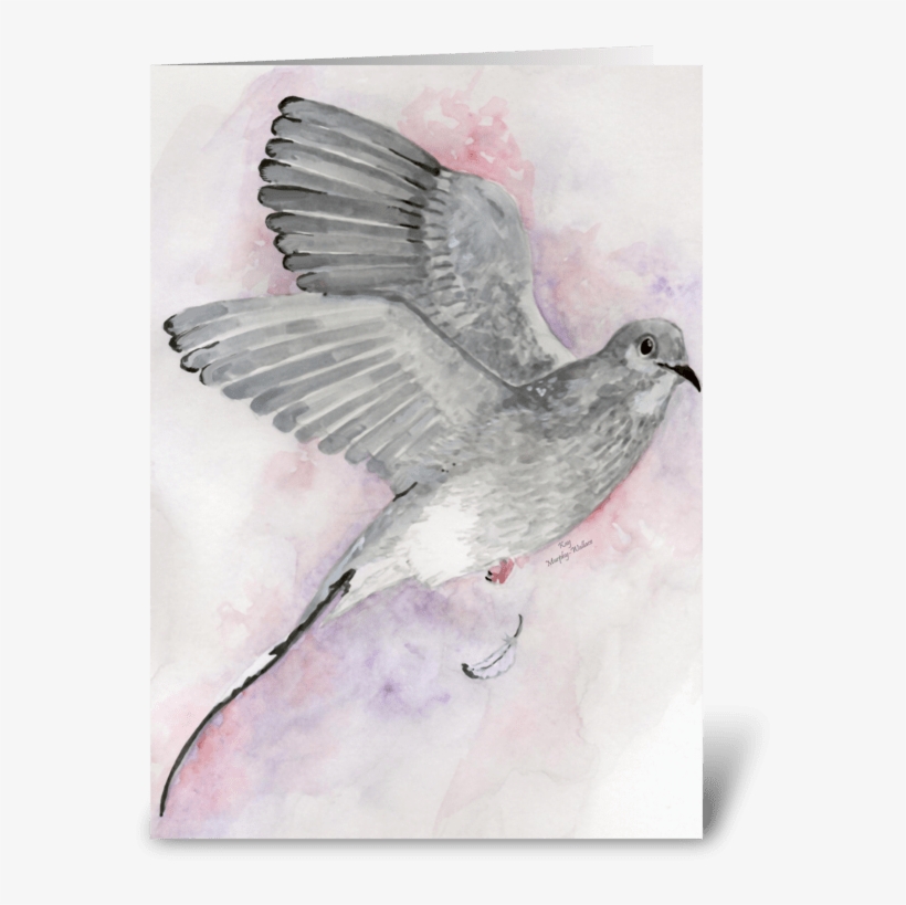 Gray Dove Greeting Card - Blue Jay, transparent png download