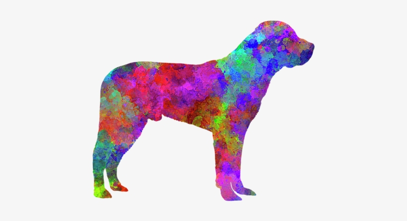 Bleed Area May Not Be Visible - Greater Swiss Mountain Dog, transparent png download