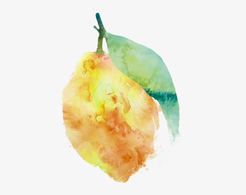 Branding, Graphic Design, Illustration - Fig, transparent png download