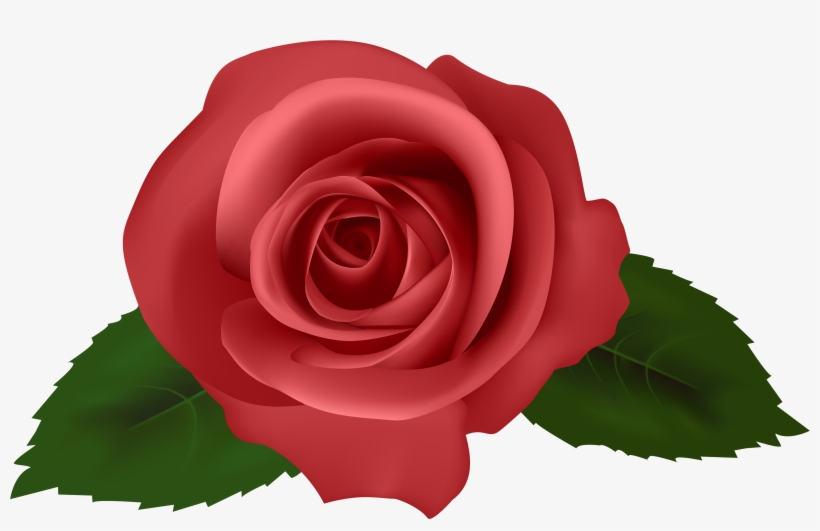 Net Photo, Flowers, Watercolor - Png Red Pink Flowers, transparent png download