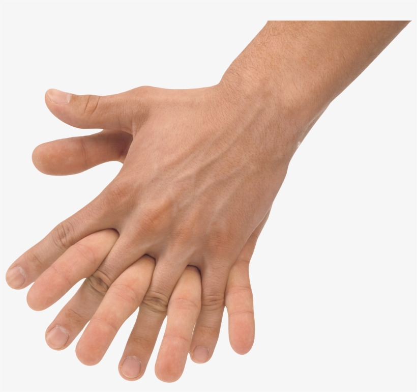 Praying Hands - Holding Hands Transparent Background, transparent png download