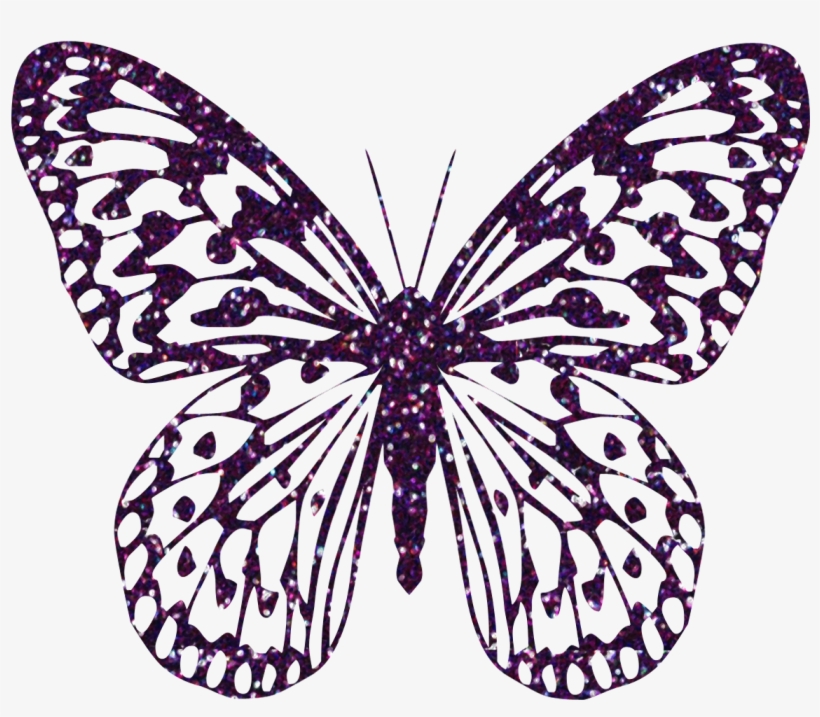 Butterfly Clipart Zebra - Butterfly Png Clipart, transparent png download