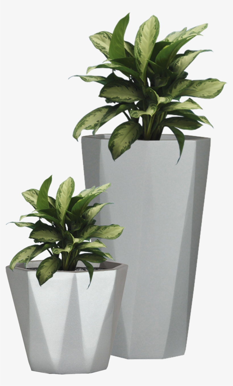 Free Icons Png - Potted Plants Png, transparent png download