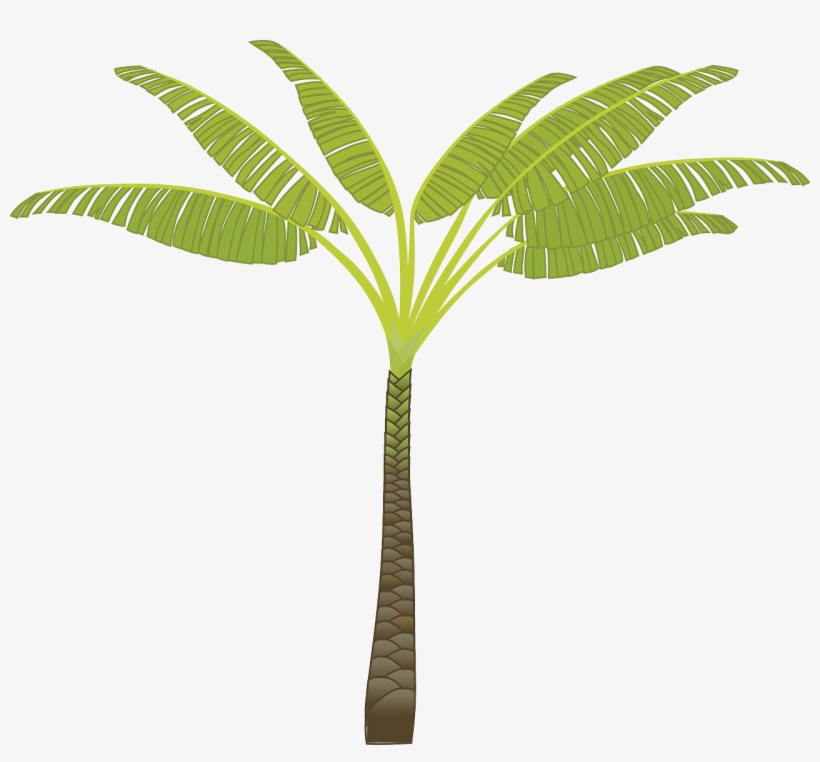 Palm Tree Png Images, Download Free Pictures - Tribe Has Spoken. Mug, transparent png download