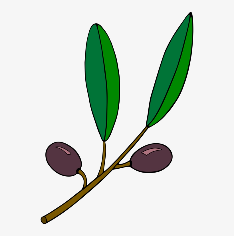 Olive Branch Martini Olive Oil Watercolor Painting - Olive Branch Clipart, transparent png download
